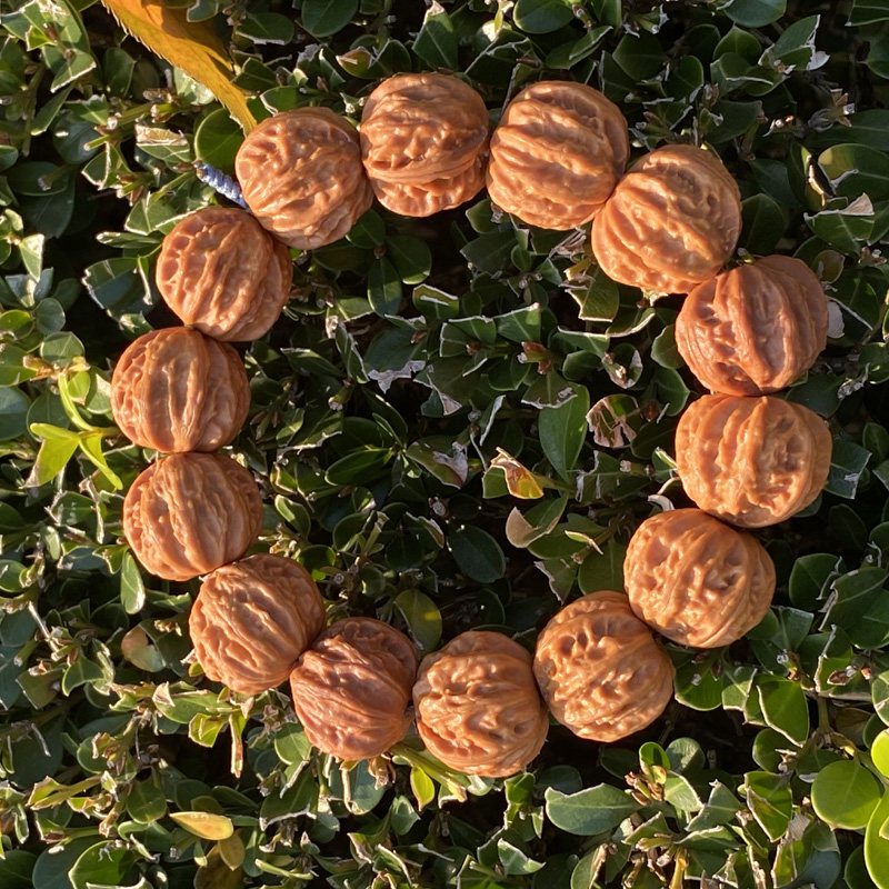 小核桃手串野生核桃门头沟京八棱精品磨盘正圆男士手链精品手串