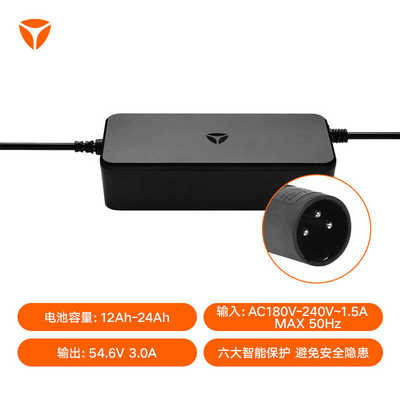 雅迪卡侬头锂电池原装