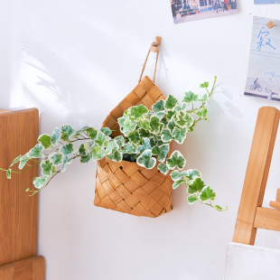 饰植物盆栽雪莹吉姆蕨绿萝室内植物盆栽 墙面装 壁挂竹编篮盆栽
