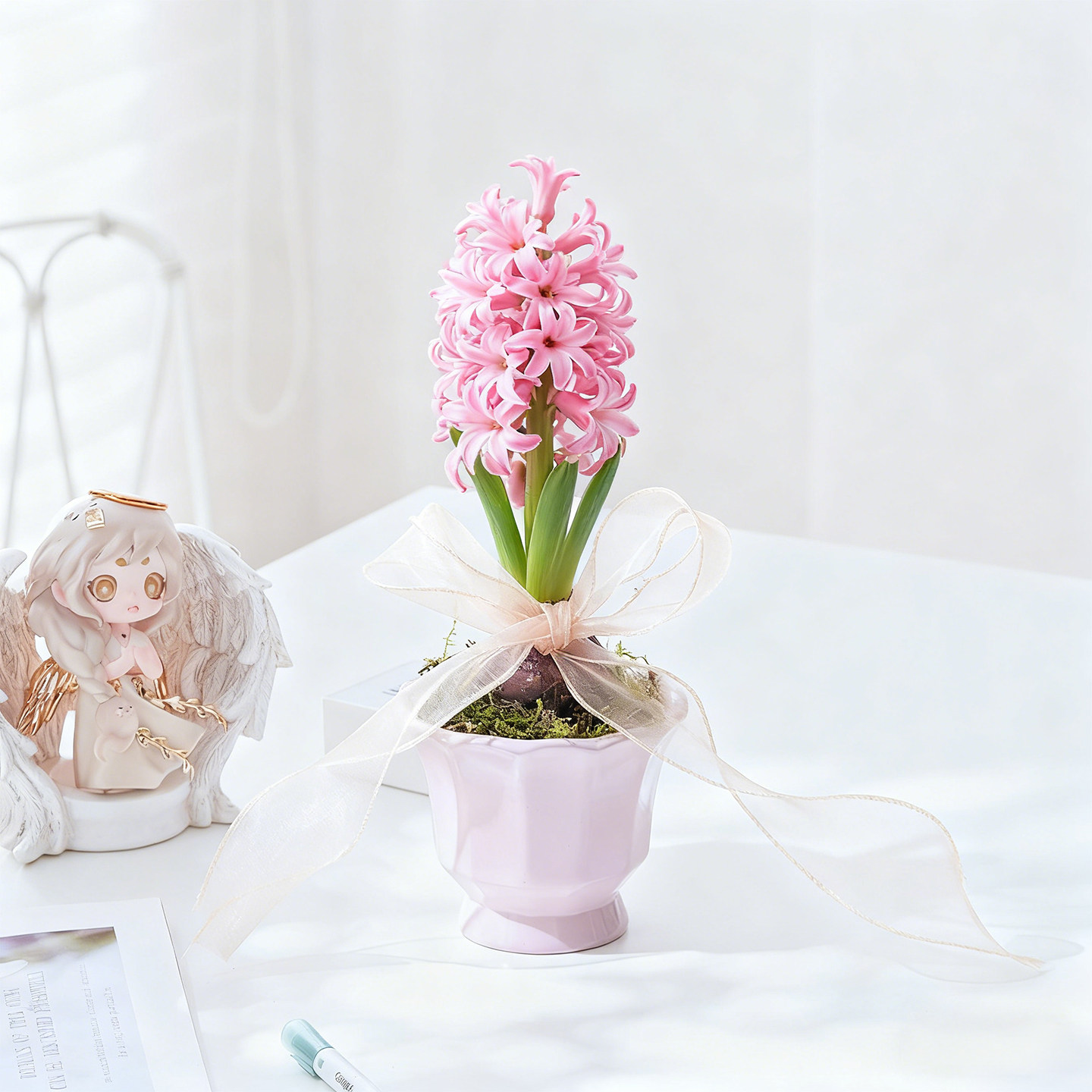 粉色风信子盆栽办公室内绿植花卉客厅桌面耐寒四季好养浓香植物,鲜花速递/花卉仿真/绿植园艺,绿植,淘宝优惠券,粉丝福利购,淘宝优惠卷