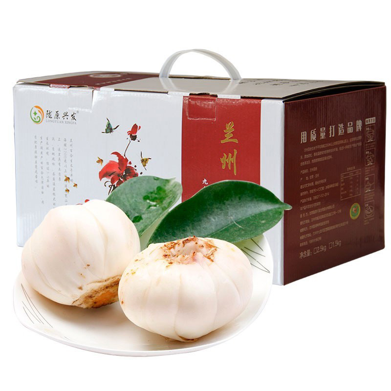 甘肃兰州百合2头皇礼盒5斤装 蔬菜农家种植新鲜食用甜白合买菜