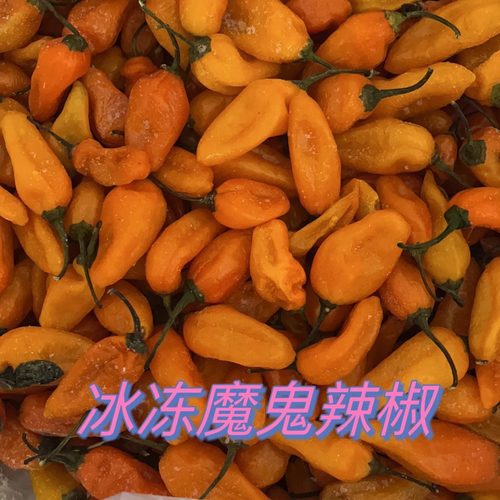 福建三明永安黄椒冰冻魔鬼椒超辣魔鬼辣商用