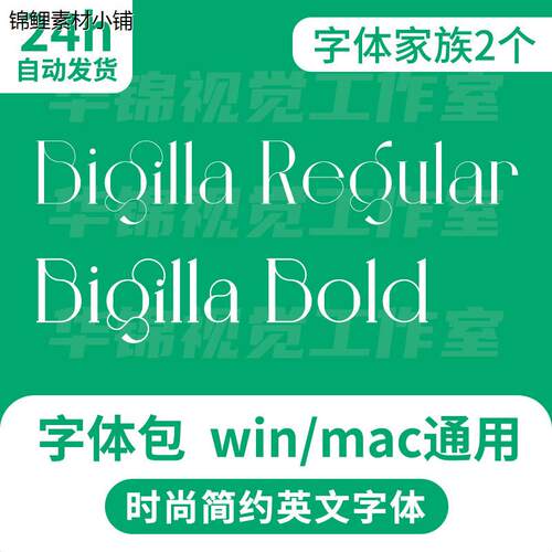 Bigilla Bold/Regular 时尚创意海报徽标设计感英文字体安装包