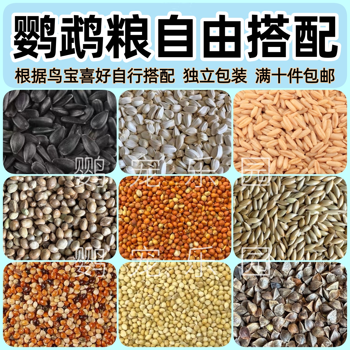 鹦鹉自配鸟粮鹦鹉鸟粮图片