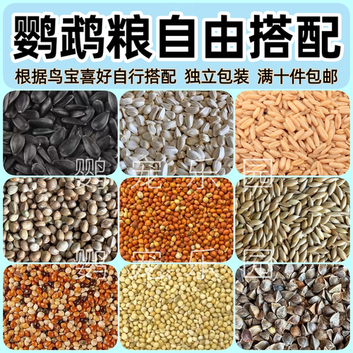 鹦鹉自配鸟粮鹦鹉鸟粮