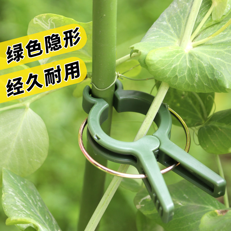 番茄夹子黄瓜杆夹西红柿园艺吊秧夹种植爬藤植物花卉支撑杆固定夹