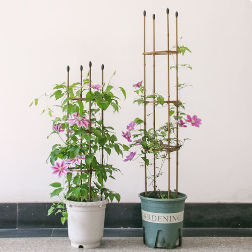 铁艺花支架仿竹子包塑钢管植物爬藤支撑架月季铁线莲攀藤支柱架子