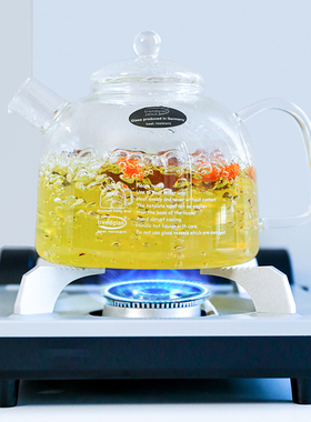 德国Trendglas Jena玻璃烧水壶G家用耐高温直火煮茶壶泡茶水果茶