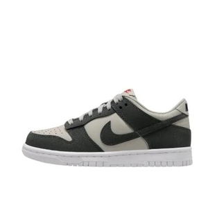 耐克Dunk Low “Anthracite”低帮24秋童板鞋休闲鞋FZ1000-001