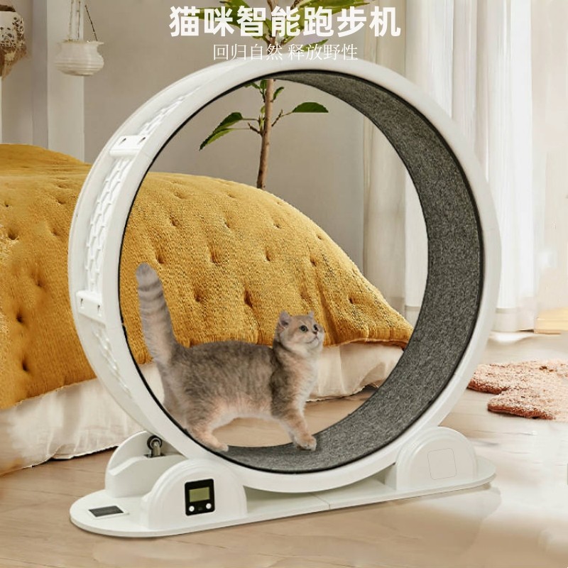 猫咪跑步机太阳能计数静音滚轮塑料防夹运动健身宠物狗玩具猫爬架