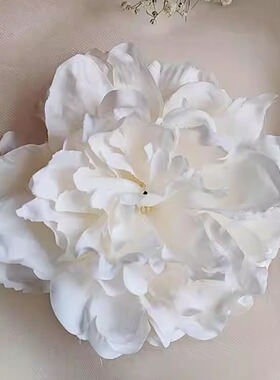 纯欲风今世戴花头饰白大花朵发夹