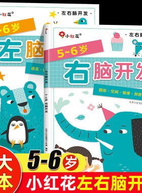 邦臣小红花左右脑开发书5-6岁思维逻辑训练儿童专注力全脑开发大脑左脑右脑书籍智力大脑力提高六五岁大班幼儿益智早教游戏书邦成