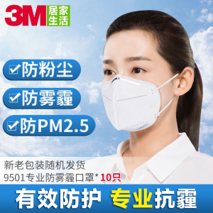 3M口罩抗雾霾KN95防护口罩防pm2.5口罩防雾霾防粉尘口罩10只组合