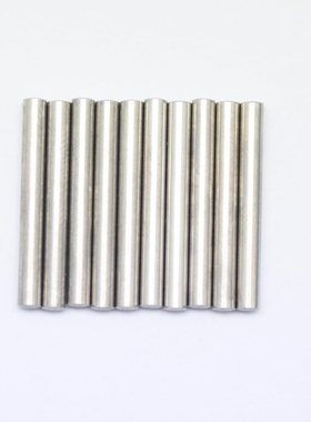 Serpent 蛇仔 Pin 2.5*22 110206