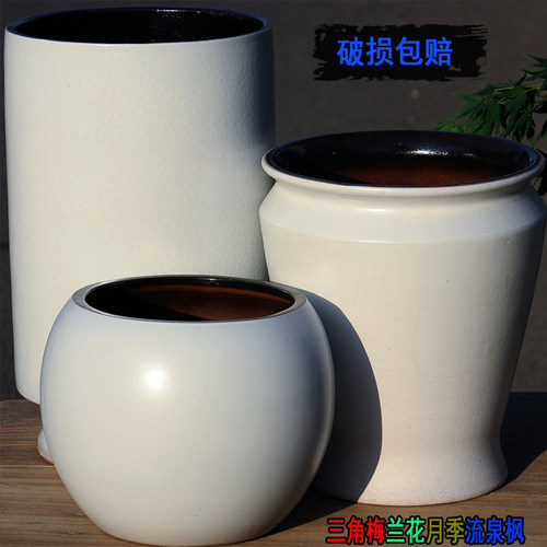 三角梅龟背竹花盆大号老桩多肉盆白色粗陶罐简约绿植陶罐大口径盆