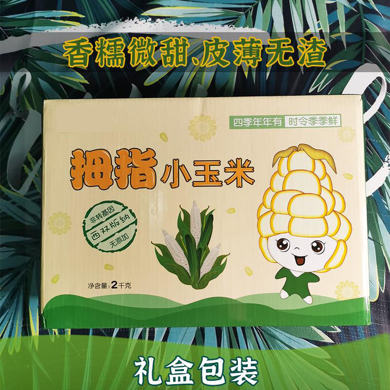 礼盒装西双版纳拇指小玉米