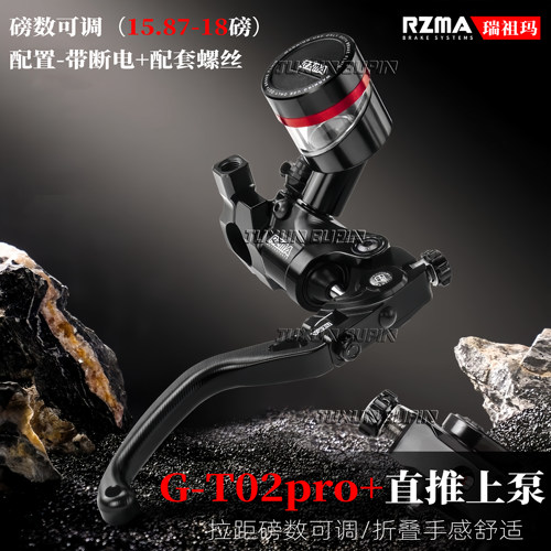 瑞祖玛GT02PRO+直推刹车泵