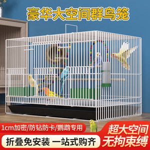 鸟笼子大号虎皮鸟笼玄凤八哥相思鸟笼繁殖笼金属鸟笼群鸟家用清仓