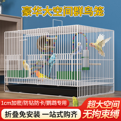 鸟笼子金属家用！推荐买它！