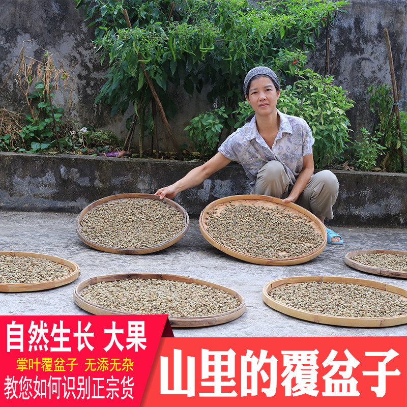 覆盆子深山药材农家晒干正宗盆覆子泡煮水泡酒材料正宗新货菟丝子