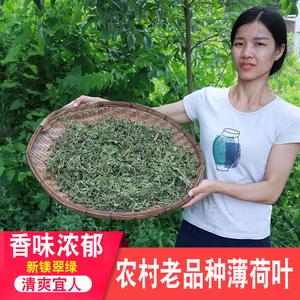 薄荷叶干深山散装药材食用无硫梗叶营养清凉提神加班花草茶叶正宗