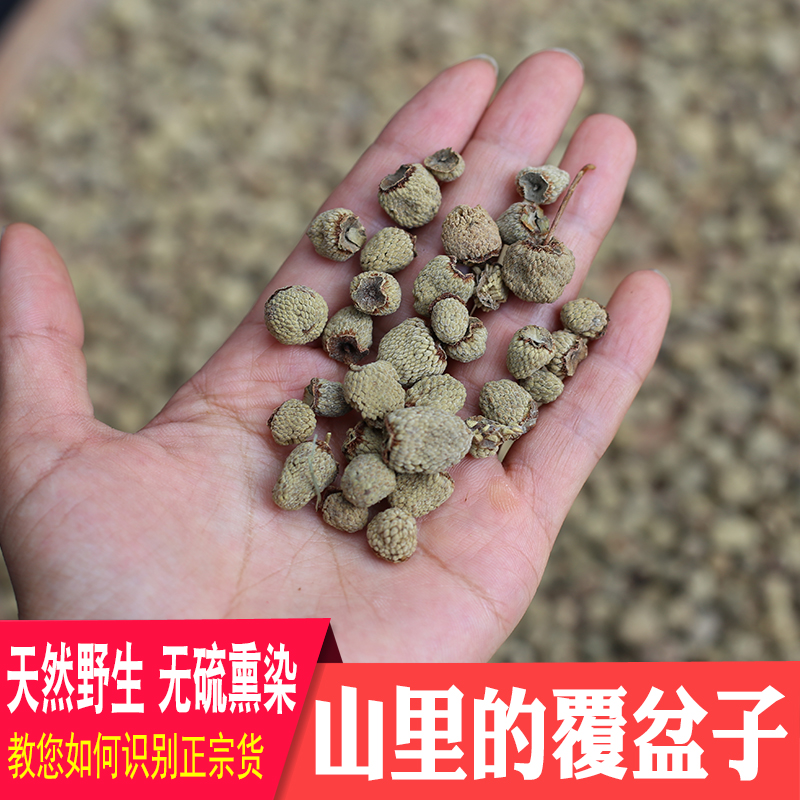 覆盆子深山药材农家晒干无硫盆覆子泡煮水泡酒材料正宗新货菟丝子
