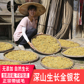 深山金银花茶正品 农家晒干花茶泡茶泡水喝带绒毛广东凉茶草药正宗