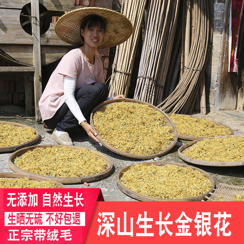 金银花广东泡水凉茶带绒毛花草茶
