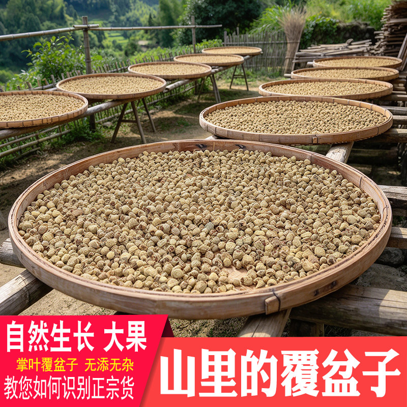 覆盆子深山药材农家晒干正宗盆覆子泡煮水泡酒材料正宗新货菟丝子