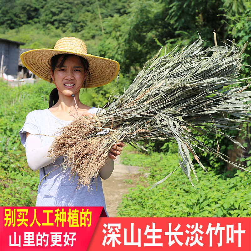 广东淡竹叶整株带根泡水喝花草茶