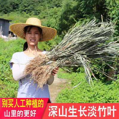 广东淡竹叶整株带根泡水喝花草茶