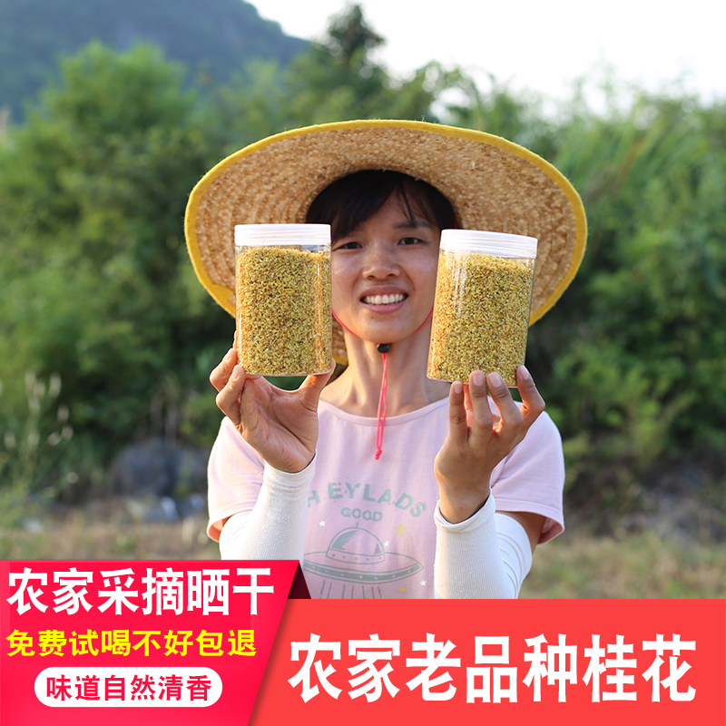 桂花干花食用农家正品桂花干食用营养新鲜瓶装新货公丁香草药材