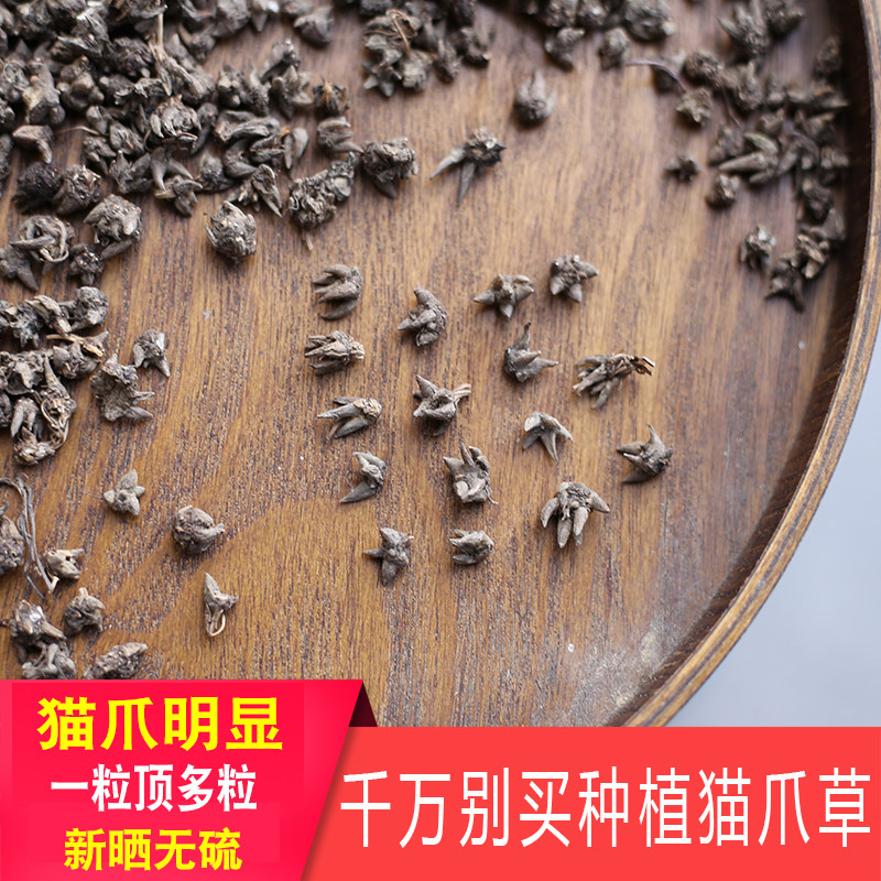 深山猫爪草小粒正品药材农家晒干草药三散草新货另售夏枯草红郁金
