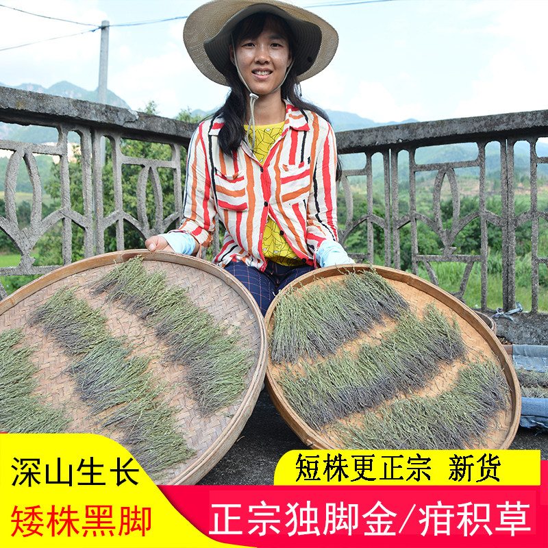 独脚金疳积草小儿开胃不吃饭厌食广东煲汤料炖汤料干草矮脚子