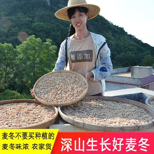 深山无硫农家麦冬另售沙参玉竹片