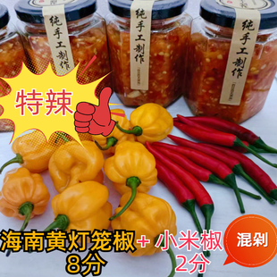 特辣  海南黄灯笼椒+小椒米 混剁现剁辣椒酱 新鲜 变态辣魔鬼辣