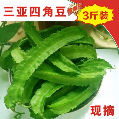 3斤装现摘新鲜四角豆四棱豆杨桃