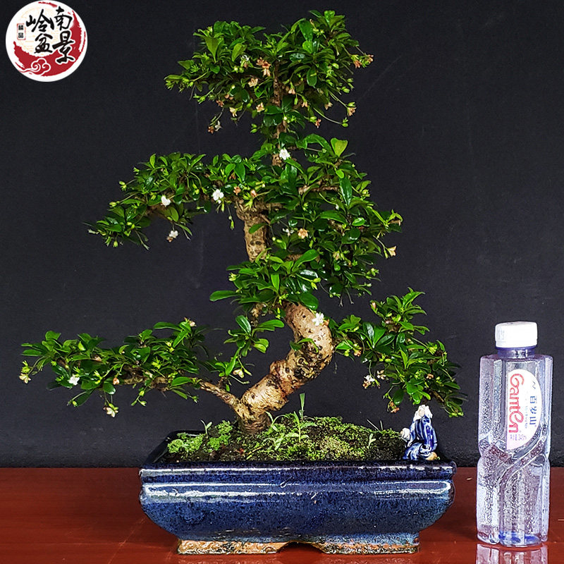 网友分享在meiguo.com的图片