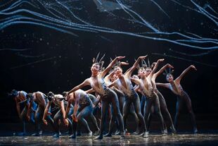 第十一届小荷风采又见藏羚羊舞蹈服民族演出服儿童动物卡通表演服