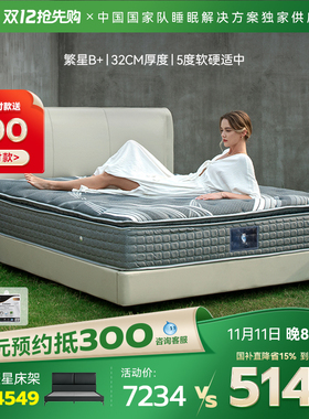 金可儿乳胶床垫家用五星酒店席梦思五区独立袋弹簧床垫子 繁星B+