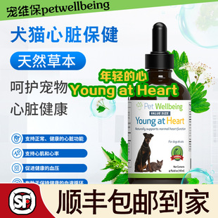 Pet Wellbeing宠维保健犬猫心脏肥大瓣膜杂音养心宝衰竭心率不齐