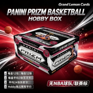 2025-26 篮球Panini Prizm Basketball Hobby 原盒卡Pz球星卡