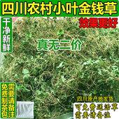 金钱草四川野生小叶金钱草干中草药材金钱草茶溶石草马蹄金500g