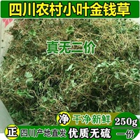 化排石效果更好小葉金錢草馬蹄金