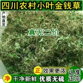 金钱草溶石草四川农村干净新鲜小叶金钱草茶中草茶干货马蹄金500g