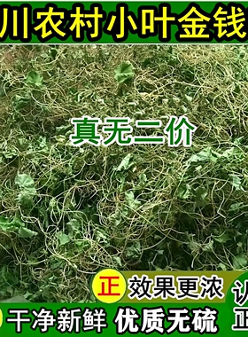 金钱草溶石草四川农村干净新鲜小叶金钱草茶中草茶干货马蹄金500g
