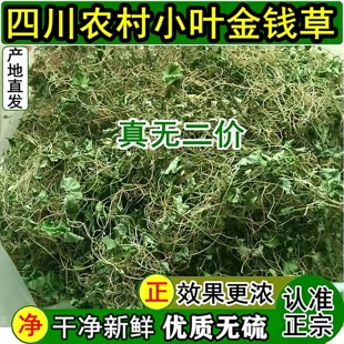 金钱草溶石草四川农村干净新鲜小叶金钱草茶中草茶干货马蹄金500g