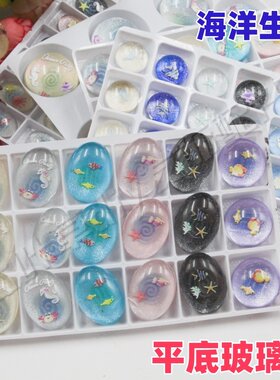 （海底生物）平底玻璃钻圆形椭圆