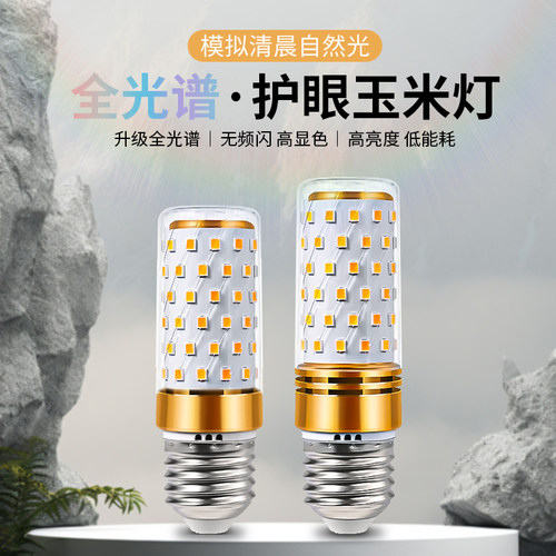 LED节能螺纹大口径接电灯泡家用