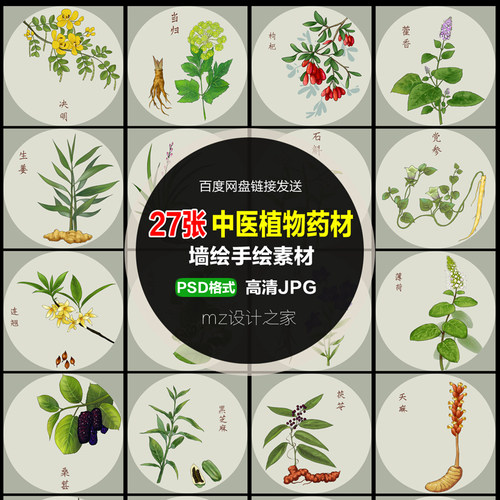 Q149水彩中医植物药材中草药墙绘手绘中医院文化围墙PSD素材